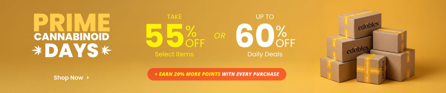 Collection - Banner - Prime Days