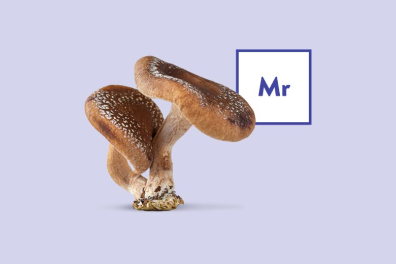 Mushroom Products