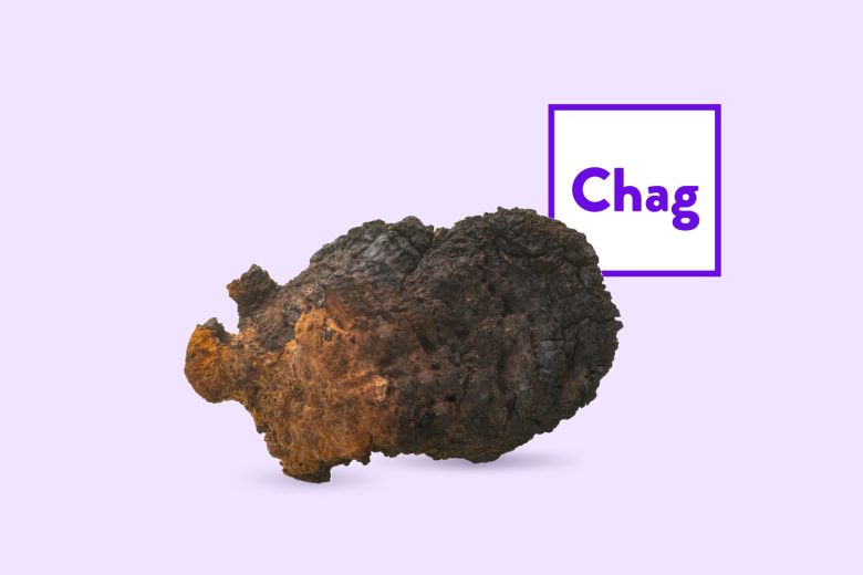 Chaga Sclerotia Products