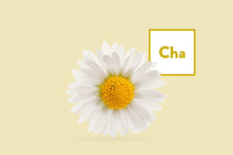 Chamomile Products