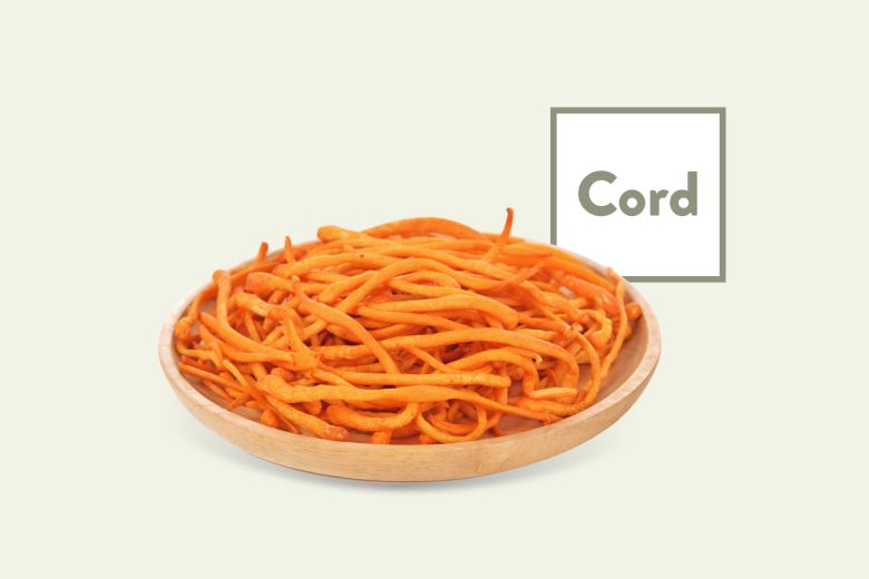 Cordyceps Products