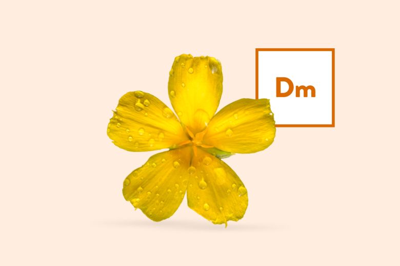 Damiana Extract (Leaf) Powder Products