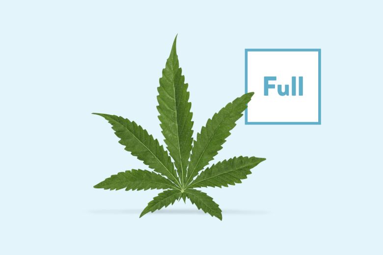 Full Spectrum CBD Products