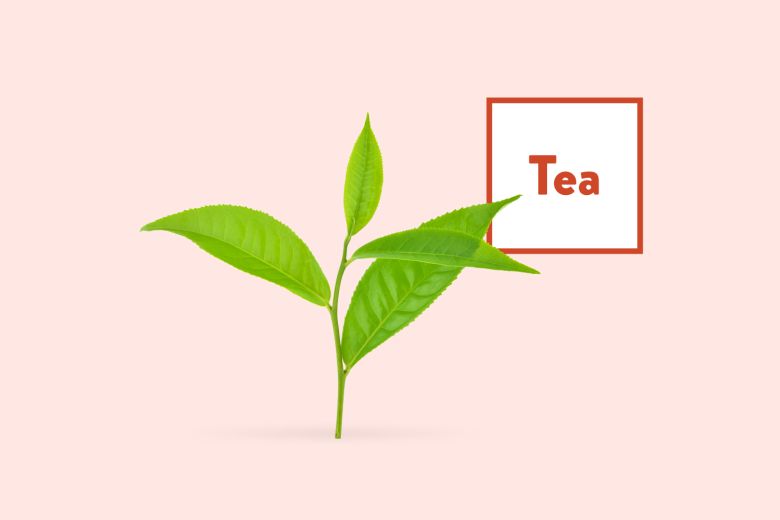 Green Tea Extract Products