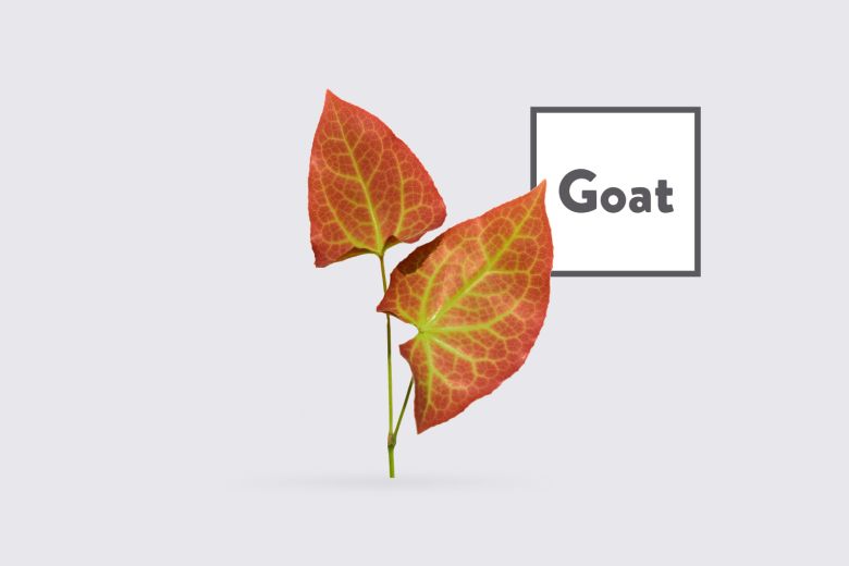 Horny Goatweed Leaf Powder Products