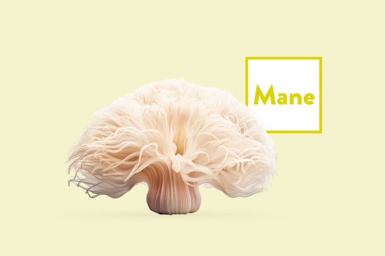Lions Mane Products