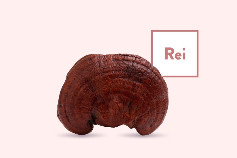 Reishi Products