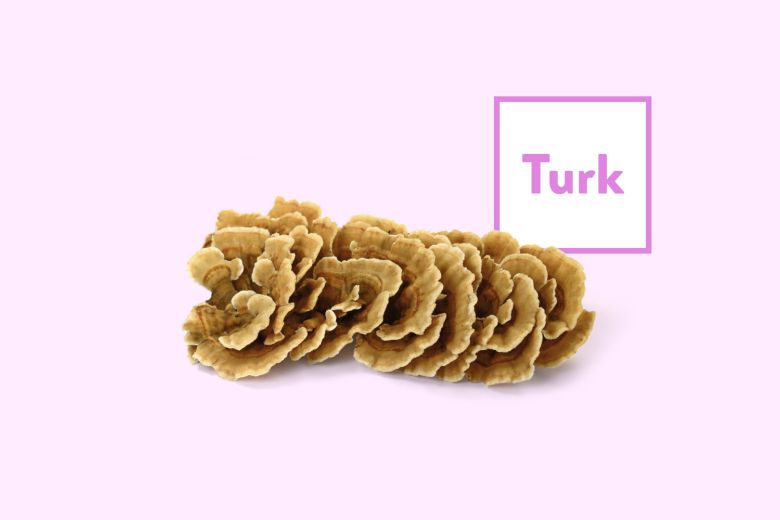 Turkey Tail Products
