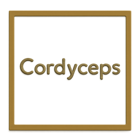 Cordyceps Products