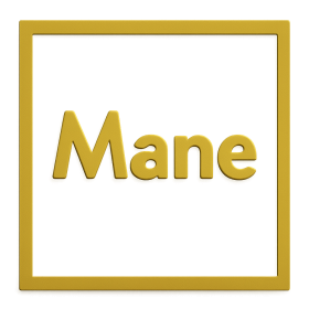 Lions Mane Products
