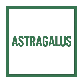 Astragalus Products