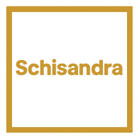 Schisandra Products