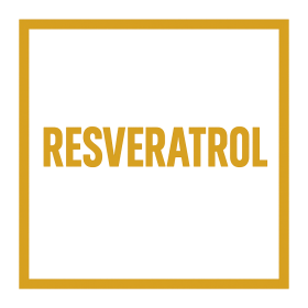 Resveratrol Products